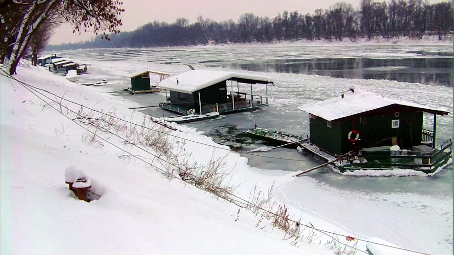 Zale�ena Sava 2012